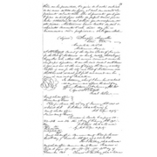 Cameron County - Book: Deed Record Volume: A Page: 195