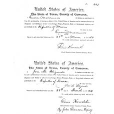 Cameron District Courts - Book: DC Volume: D Page: 447