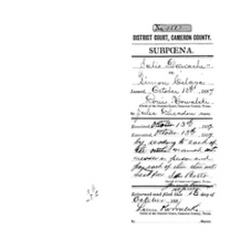 Cameron District Courts - Book: CASE FILES Volume: 1501 Page: 5