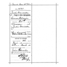 Cameron District Courts - Book: CASE FILES Volume: 1501 Page: 17