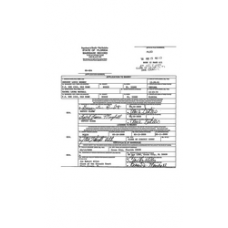 Dixie - Book: Marriages Volume: 12 Page: 411