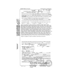 Dixie - Book: Official Records Volume: 19 Page: 128