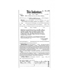 Dixie - Book: Official Records Volume: 29 Page: 334