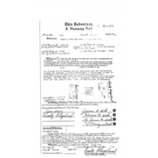 Dixie - Book: Official Records Volume: 30 Page: 300