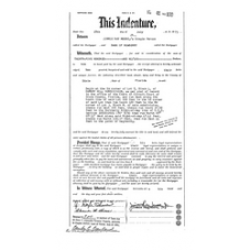 Dixie - Book: Official Records Volume: 41 Page: 100