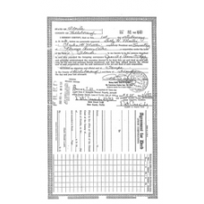 Dixie - Book: Official Records Volume: 81 Page: 440