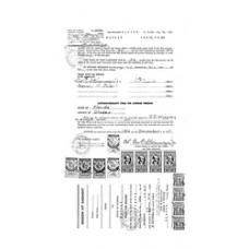 Glades - Book: Official Records Volume: 13 Page: 233