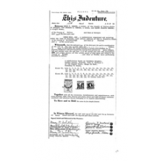 Glades - Book: Official Records Volume: 4 Page: 394