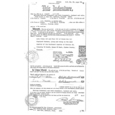 Glades - Book: Official Records Volume: 50 Page: 854