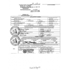 Madison - Book: Marriages Volume: 30 Page: 110