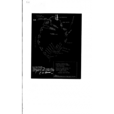 Laurens - Book: Deed Records Volume: 306 Page: 154