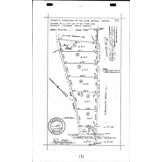 Laurens - Book: Deed Records Volume: 333 Page: 113