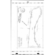 Laurens - Book: Deed Records Volume: 335 Page: 234