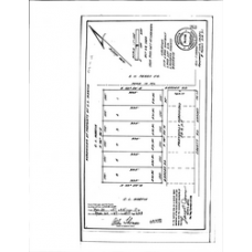 Laurens - Book: Deed Records Volume: 479 Page: 263
