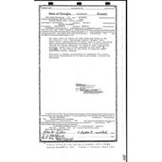 Oglethorpe - Book: Deed Records Volume: 5G Page: 389