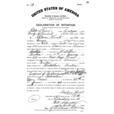 Fort Bend District Clerk - Book: Naturalization Record Declaration of Intention Volume: 1 Page: 21