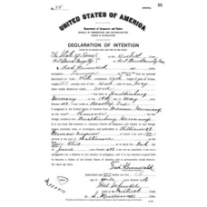 Fort Bend District Clerk - Book: Naturalization Record Declaration of Intention Volume: 1 Page: 91