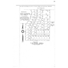 Walker - Book: Deeds Volume: 113 Page: 301