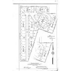 Walker - Book: Deeds Volume: 120 Page: 481