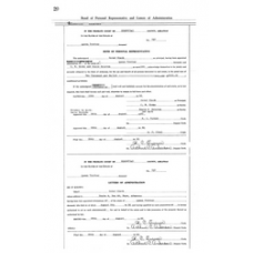 Hempstead - Book: Administrator Record Volume: P Page: 20